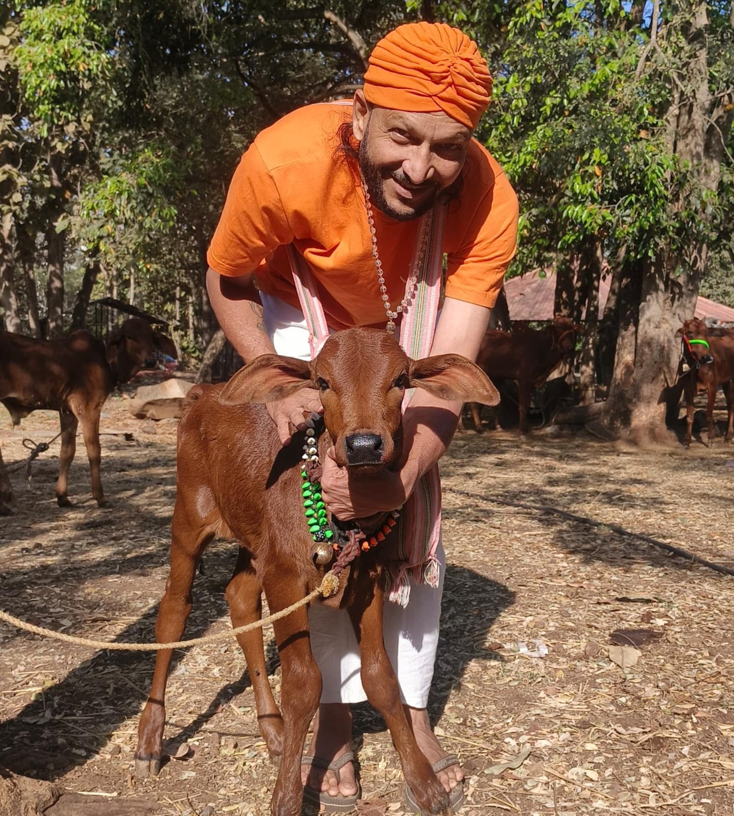 श्री मंदार T